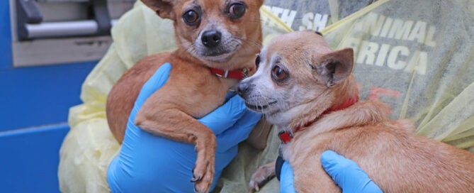 Mill Rescue, October 2025