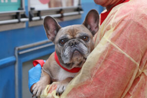 Mill Rescue, October 2025