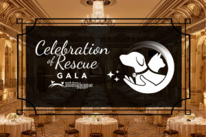 Save the Date for the 2026 Celebration of Rescue Gala
