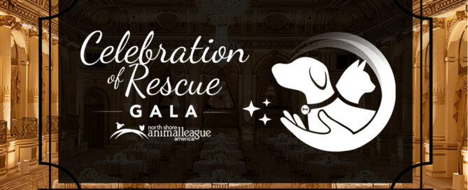 Save the Date for the 2026 Celebration of Rescue Gala