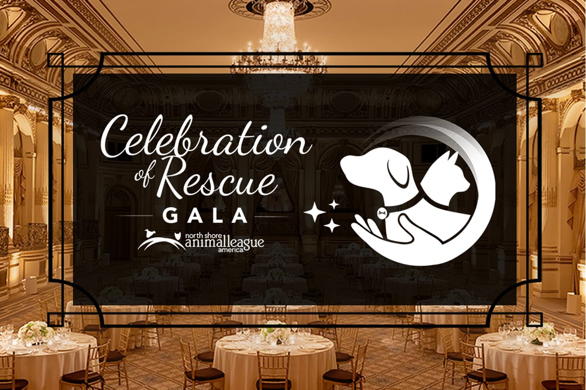 Save the Date for the 2026 Celebration of Rescue Gala