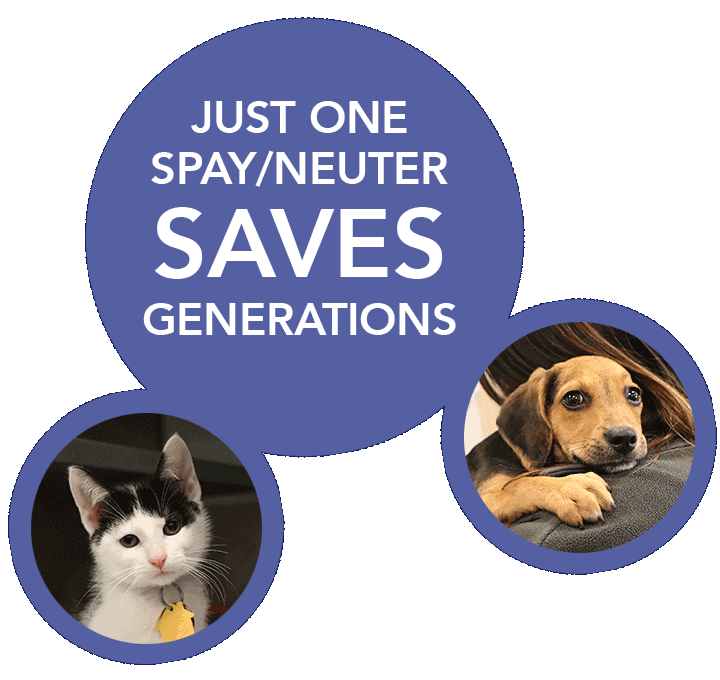 nsala_2025_web_opt_4_whatisnokill_images_4b