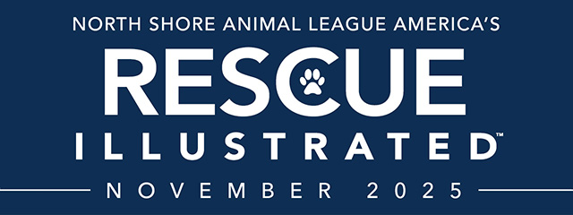 nsala_enews_2025_header_11_v2