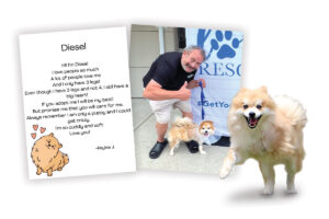 Poems with Purpose: Mutt-i-grees Ambassadors Spark Change Through Verse