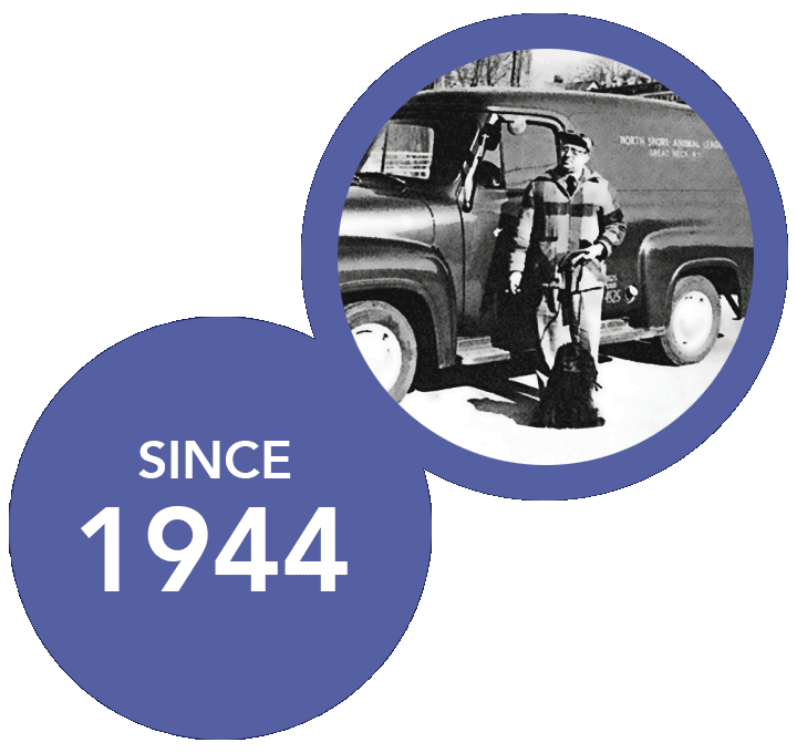 whatisnokill_image1b