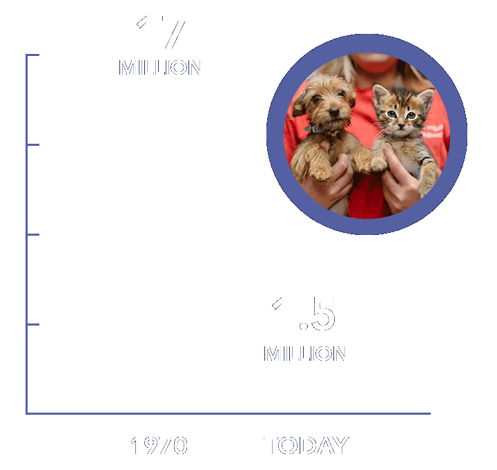 whatisnokill_image2i