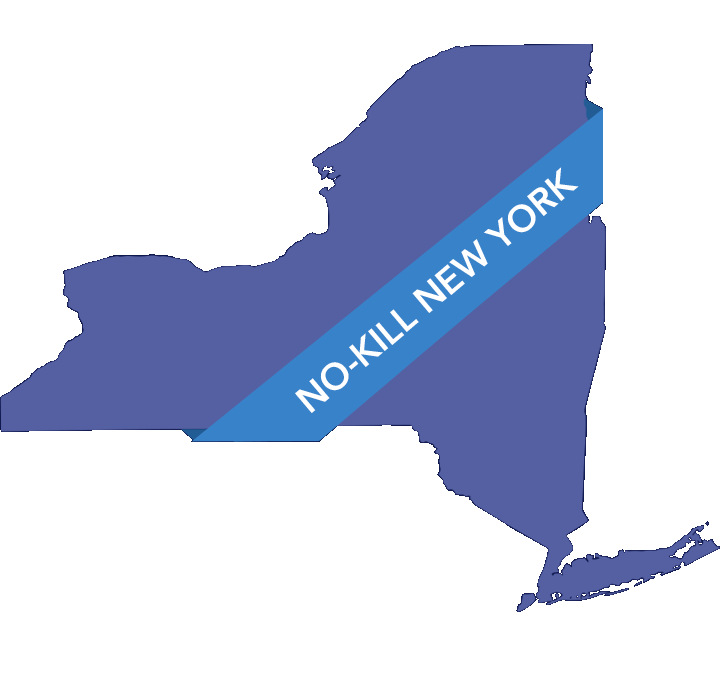 whatisnokill_image5b