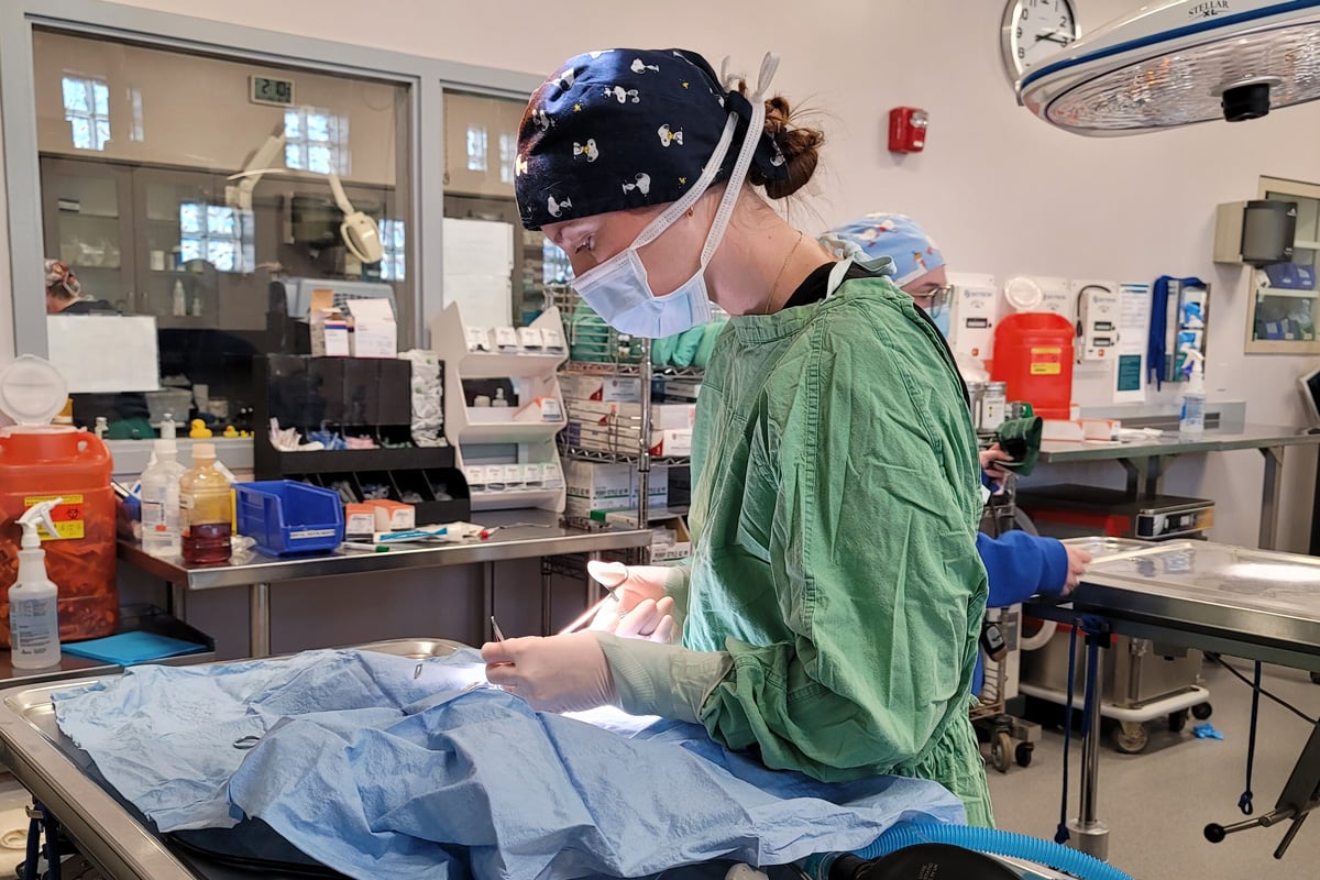 Phantom Fluff Dec 2025