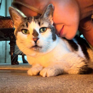 Beloved Walter Stern