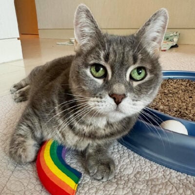 beth-blog-dec2025-lucy-stern Beloved Lucy Stern