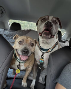 Gabby and Romeo heading to their new home!