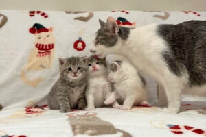 Beth's Blog - December, 2025