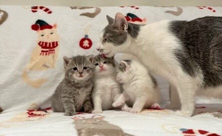 Beth's Blog - December, 2025