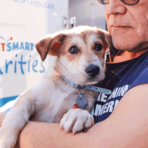 Help Yukon & Snoopy Heal