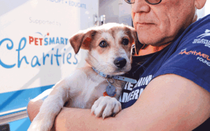 Help Yukon & Snoopy Heal