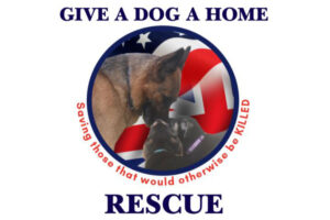 Give a Dog a Home Rescue