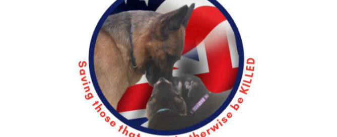 Give a Dog a Home Rescue