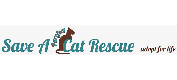 Save A Purrfect Cat Rescue