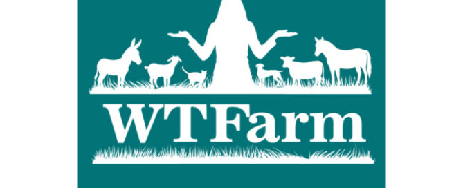 WTFarm Animal Rescue & Sanctuary