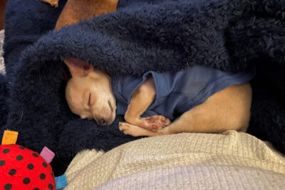 hmh-swish-update-post-op-foster-012026e