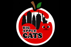 Big Apple Cats