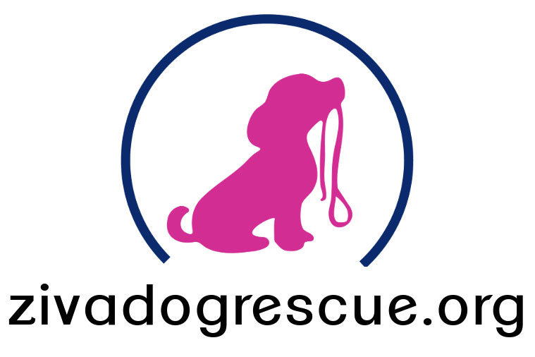 Ziva Dog Rescue