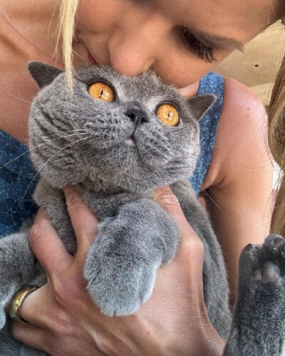 Beth Stern and Cocomelon