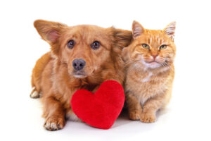 Heart Health Month