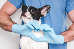 Heart Health Month