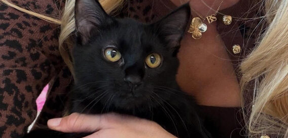 Beth's Bog, February 2026