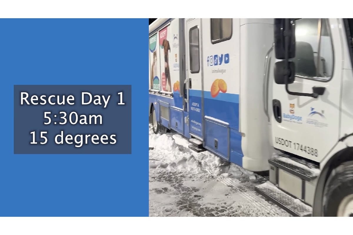 Road to Rescue: Day 1