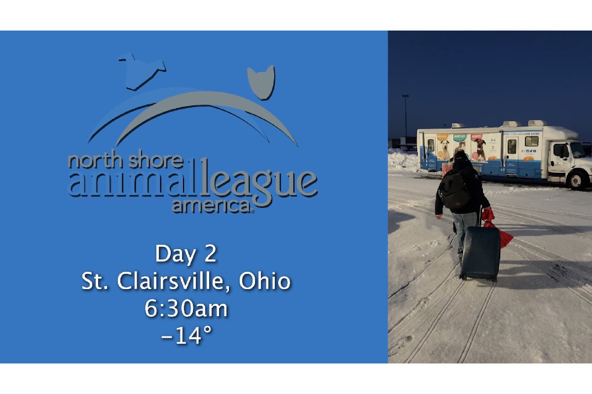 Road to Rescue: Day 2