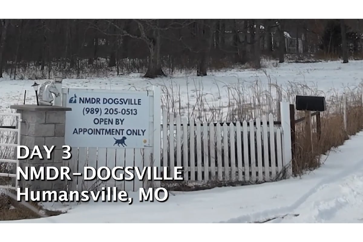 Road to Rescue: Day 3