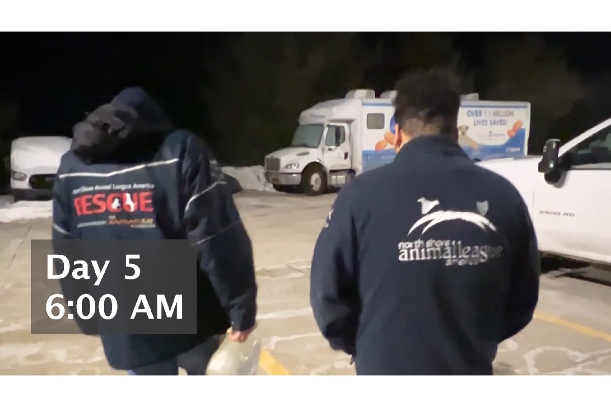 Road to Rescue: Day 5