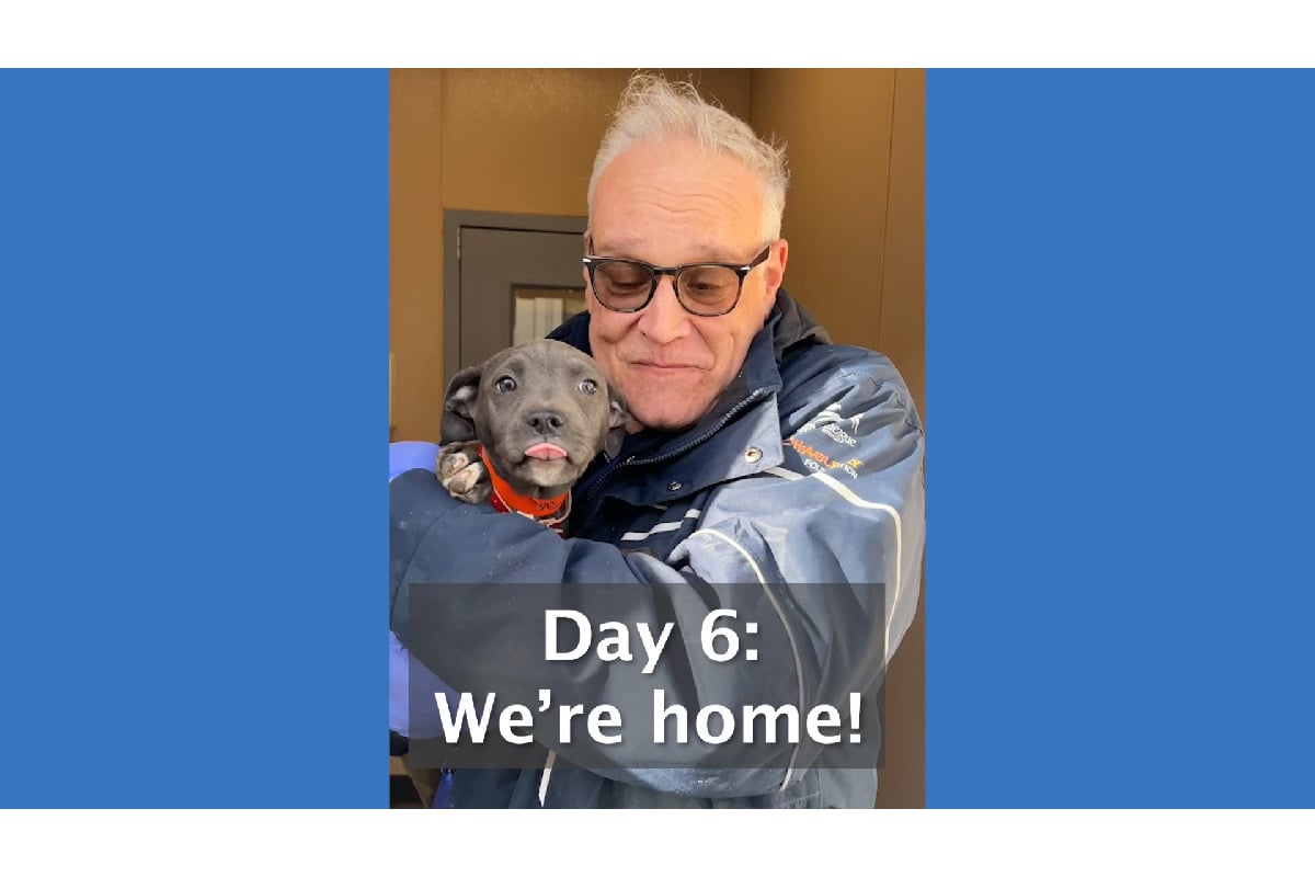 Road to Rescue: Day 6