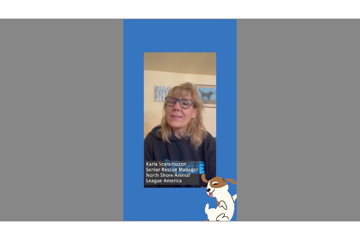 Road to Rescue: Meet Karla Scaramuzzo