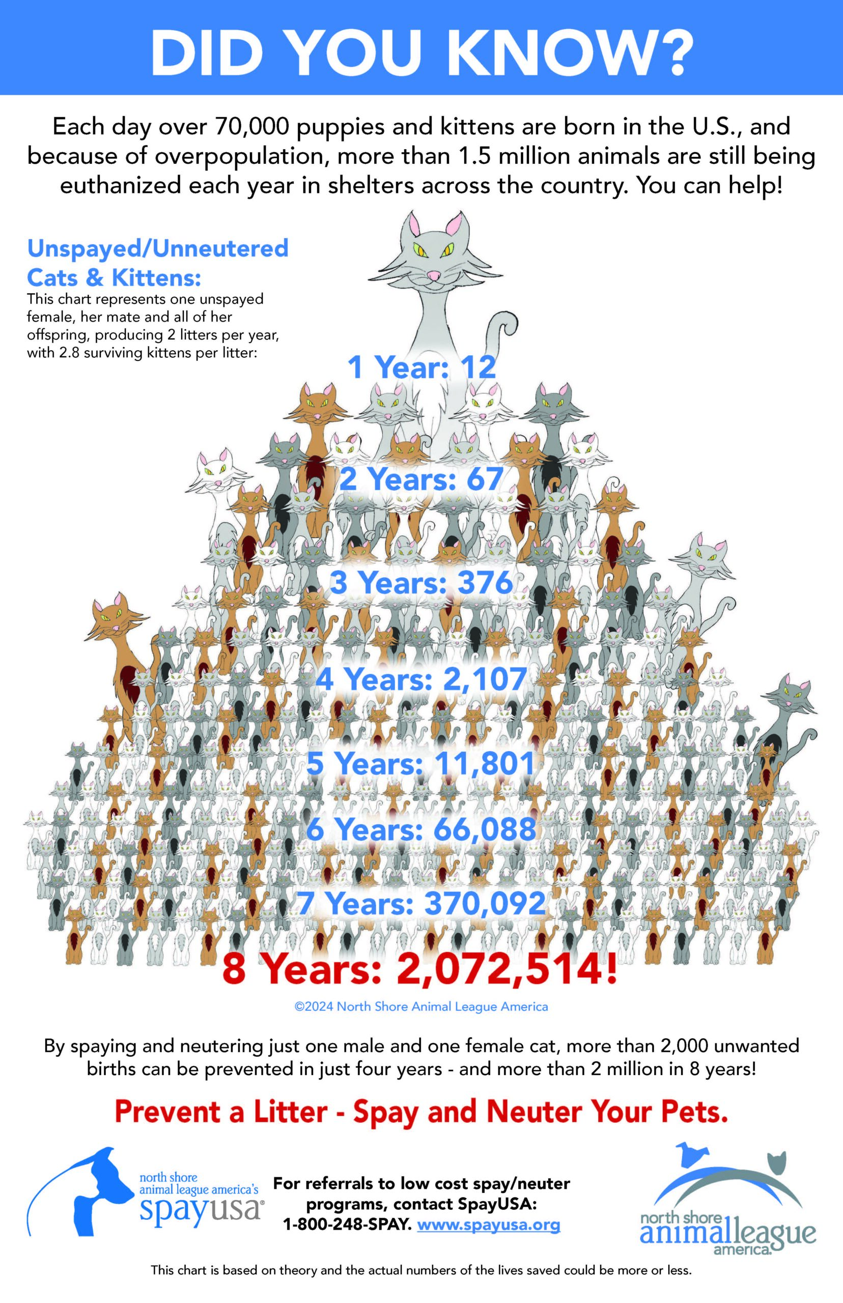 Beth's Blog March 2026