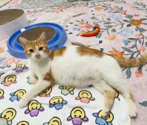 Beth's Blog March 2026