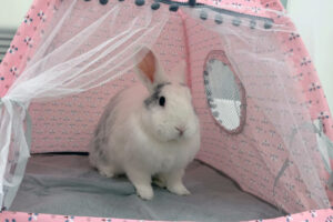 Beth's Blog, March 2026