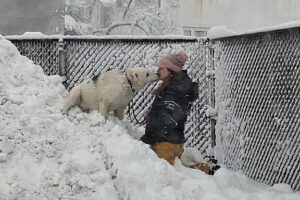 Blizzard 2026