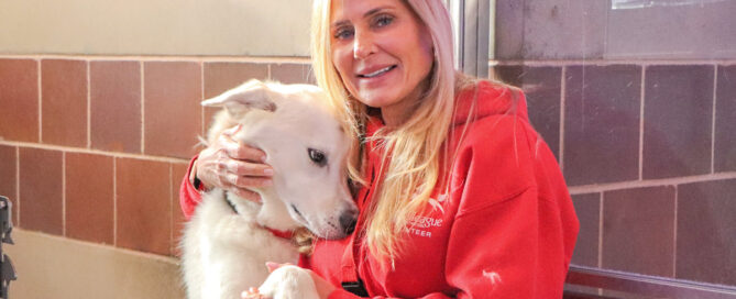 Volunteer Month: Kimberly Bayardelle