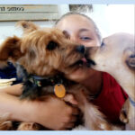 Sponsor Pet G.I. Joey