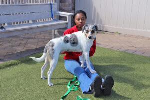 Volunteer Alyssa Campbell