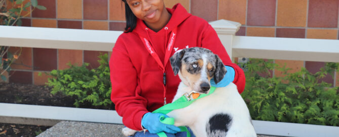 Volunteer Alyssa Campbell