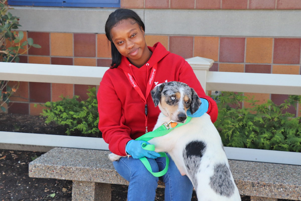 Volunteer Alyssa Campbell