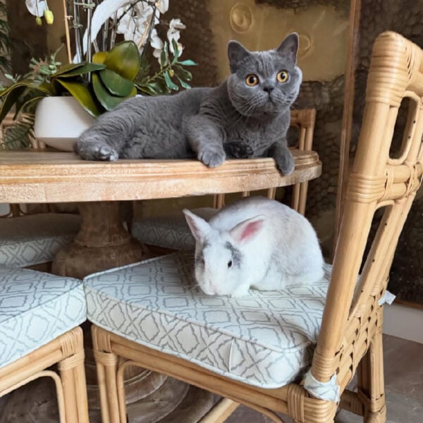 Coco and Stephen