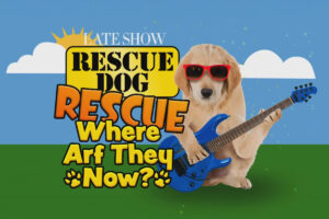 Farewell Rescue Dog Rescue