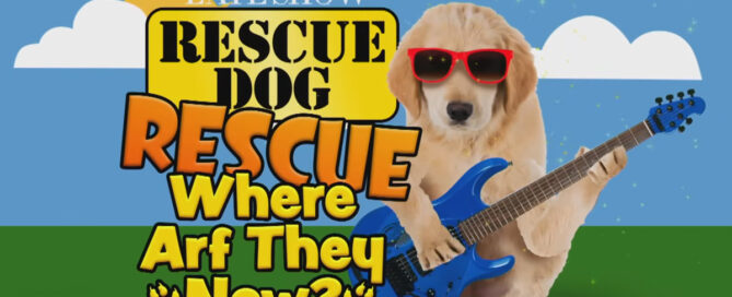 Farewell Rescue Dog Rescue