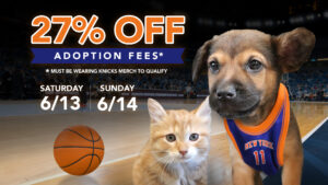 Knick 27 Adoption Special