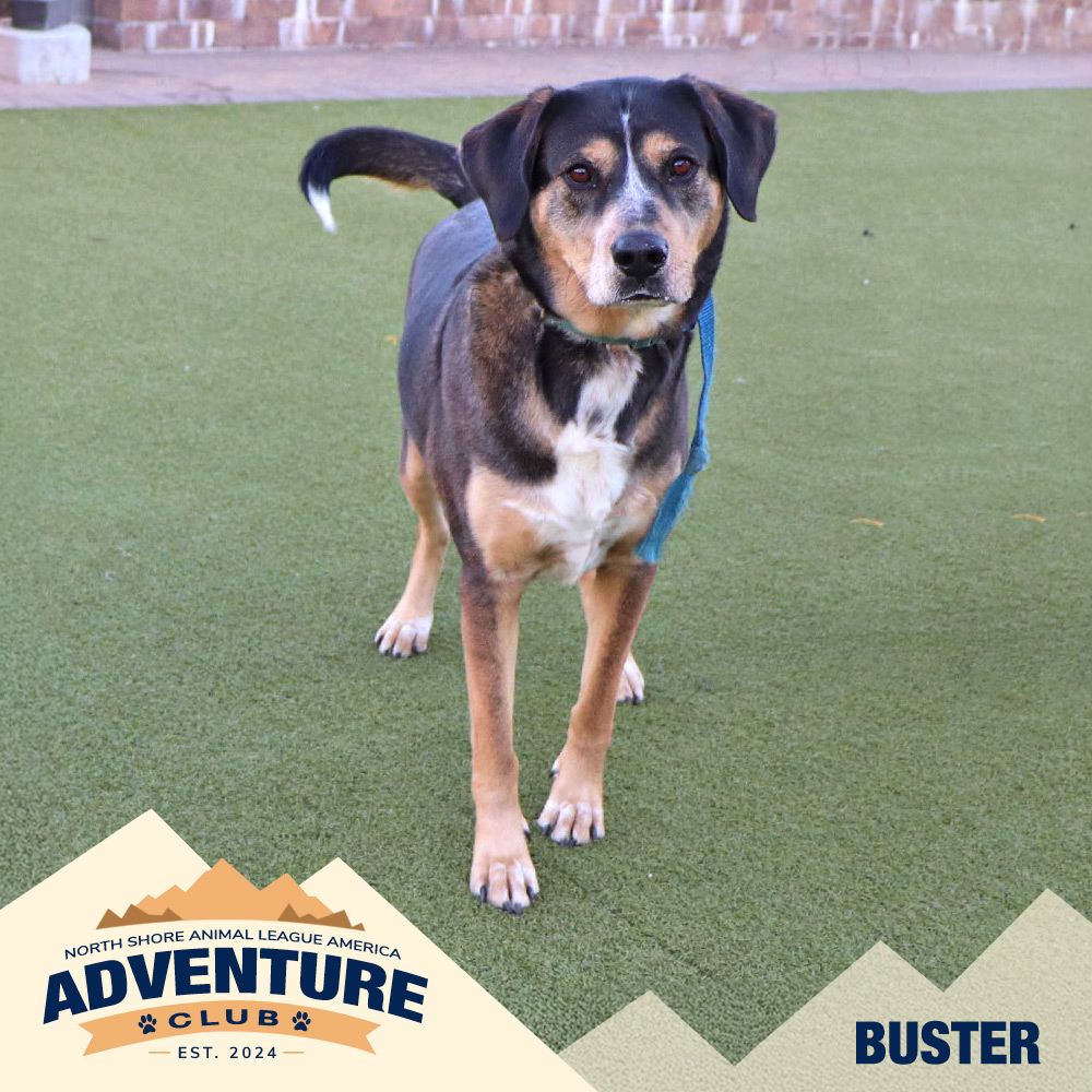 nsala_web_adventureclub_photos_buster_1 Huey